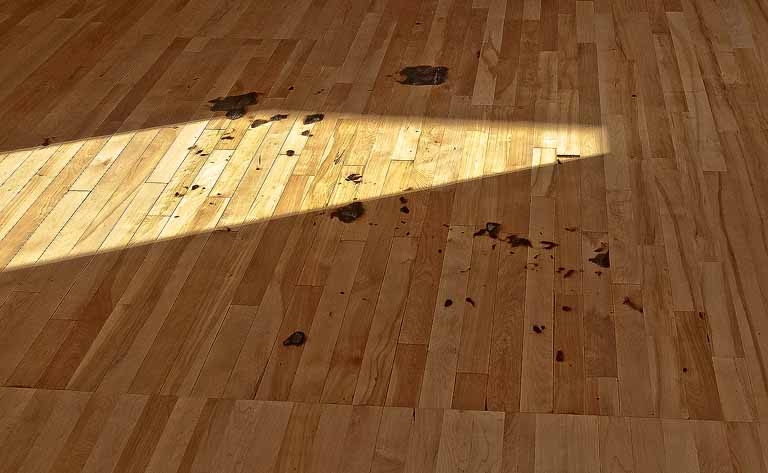 Some of the preserved burnt flooring