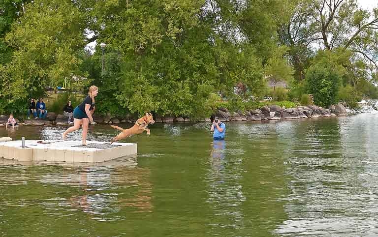 2024 Dock Diving Dogs - Good form.