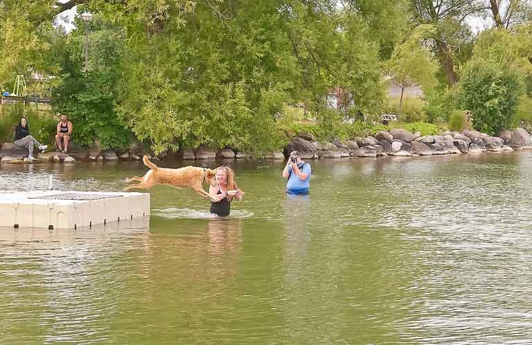 2024 Dock Diving Dogs - Like this?