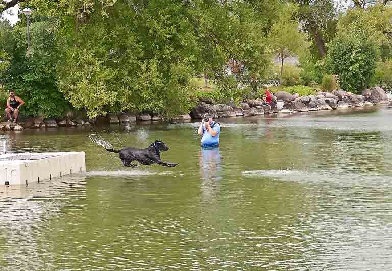 2024 Dock Diving Dogs - Oops