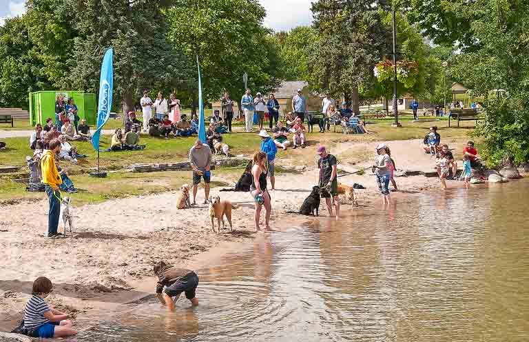 2024 Dock Diving Dogs - The field of entrants