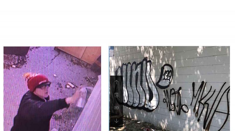 OPP Graffiti Suspect