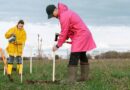 National Tree Day In Orillia