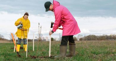 National Tree Day In Orillia