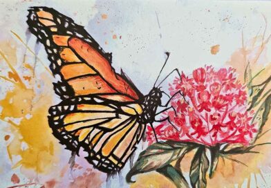 2026 Student Art Contest