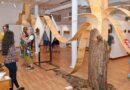 This Week In Art/Culture/Entertainment