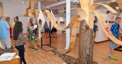 This Week In Art/Culture/Entertainment