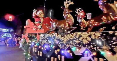 This Week In Art/Culture/Entertainment