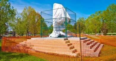 Champlain: Will Council Rid Us Of This Turbulent Pest